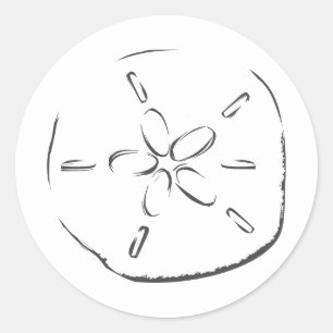 Sand Dollar Teckning Runt Klistermärke