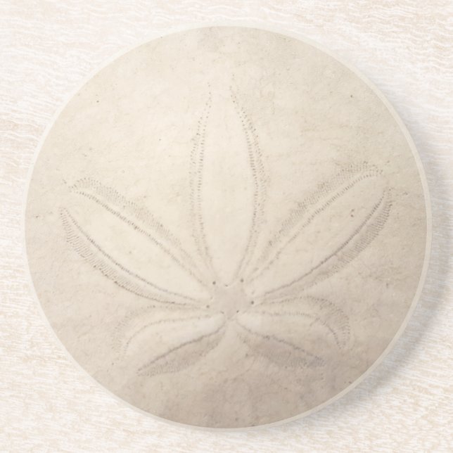 Sand Dollar Underlägg (Framsidan)