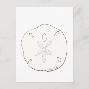Sand Dollar-vykort Vykort