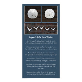 Sand-dollarns förklaring fototryck