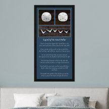 Sand-dollarns förklaring