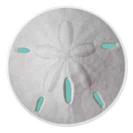 Sand dollarns havsstrandsköldpaddor, vit kokos knopp