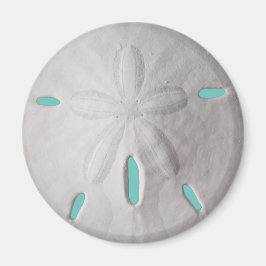 Sand dollarns havsstrandturkos vit sommarturkos magnet