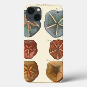 Sand Dollars Gems