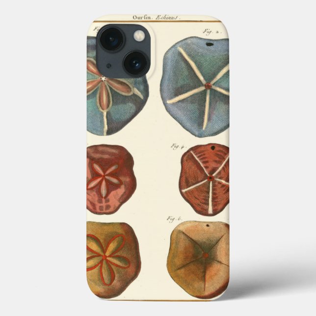 Sand Dollars Gems (Baksida)