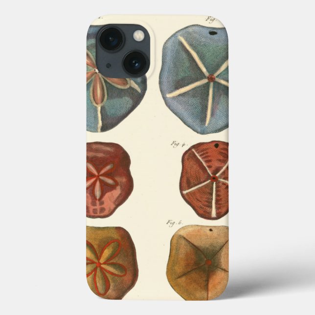 Sand Dollars Gems (Baksida)