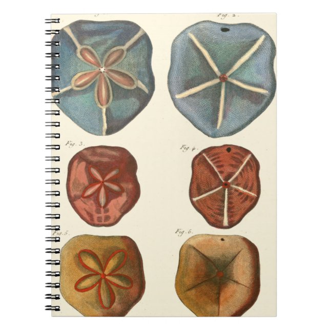 Sand Dollars Gems Anteckningsbok (Framsidan)