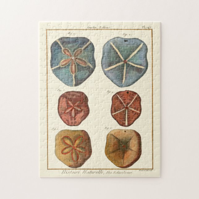 Sand Dollars Gems Pussel (Vertikal)