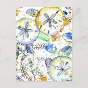 Sand Dollars Seashells Ocean Sea Treasures Vykort