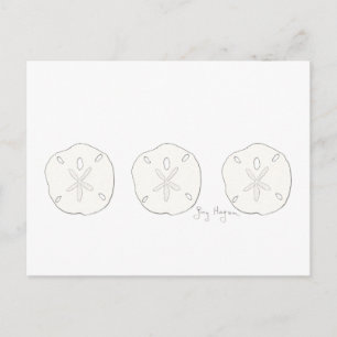 Sand Dollars vykort