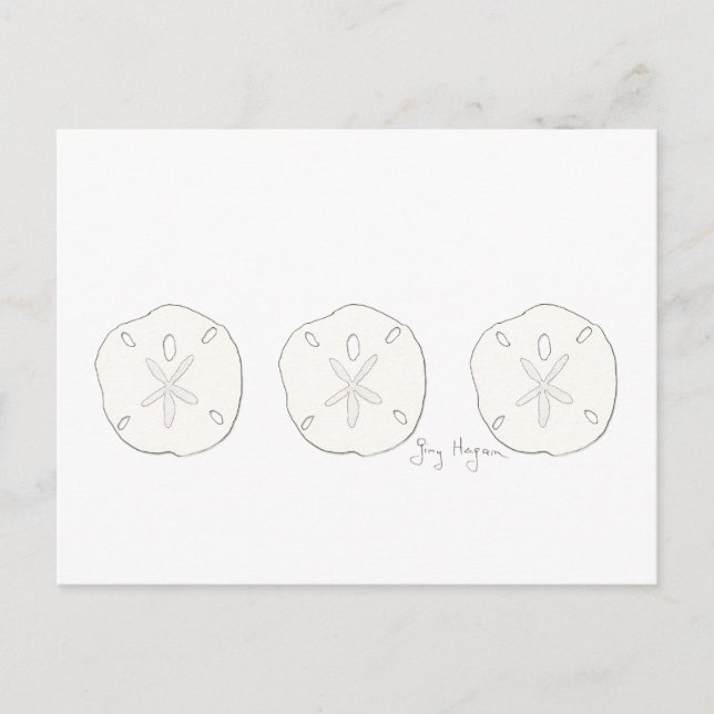 Sand Dollars vykort (Framsida)