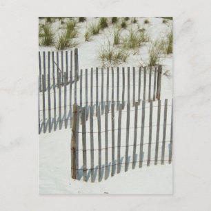 Sand Dune Fence Vykort