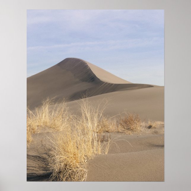 Sand dune-formationer. Bruneau Dunes State Park 2 Poster (Framsidan)