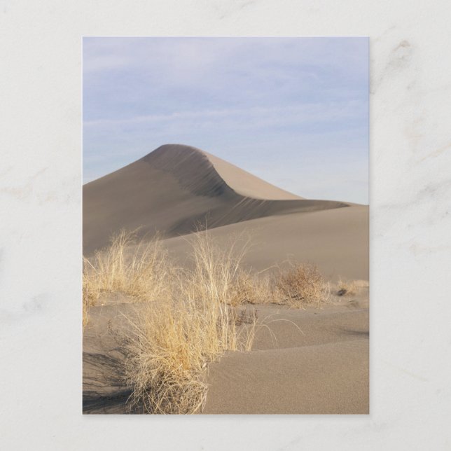 Sand dune-formationer. Bruneau Dunes State Park 2 Vykort (Framsida)