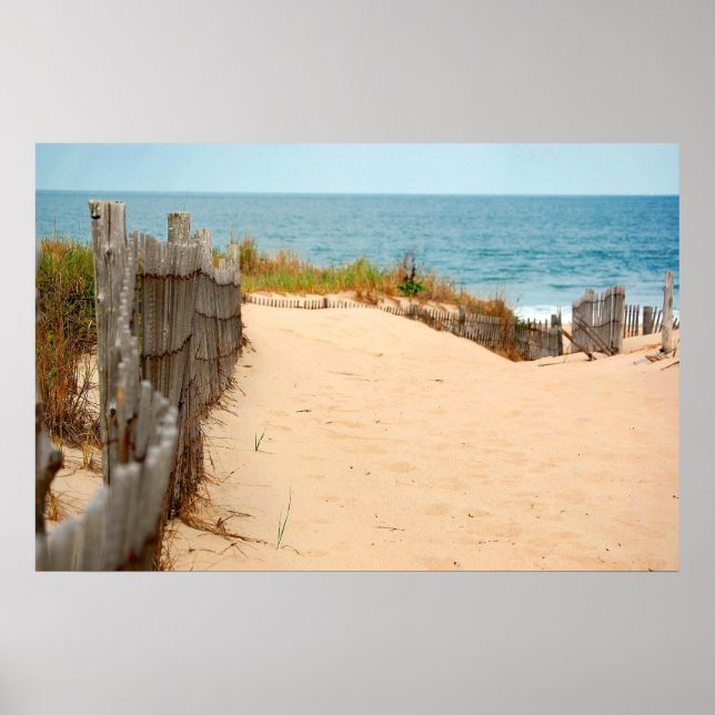 Sand Dune & Sea Fence Poster (Framsidan)