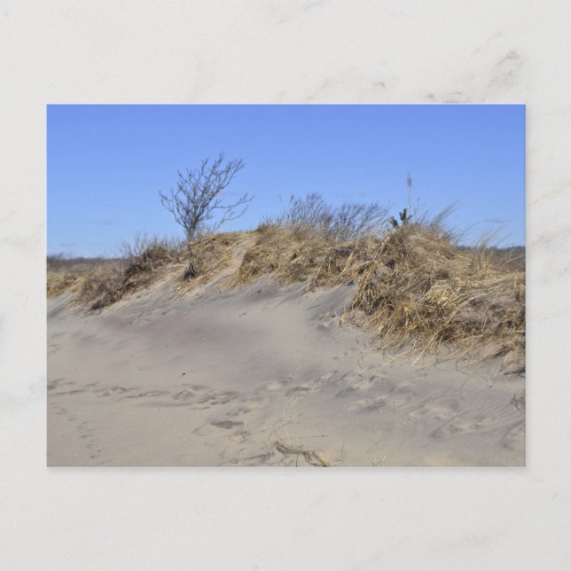 Sand Dune vykort (Framsida)