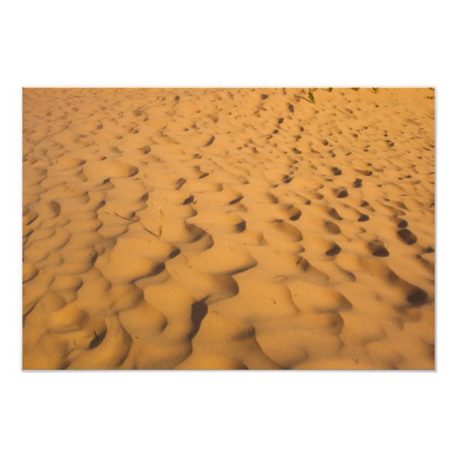 Sand Dunes at Pictured Sten NL, Michigan Fototryck (Framsidan)