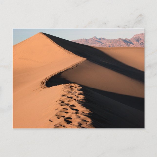 Sand Dunes - Death Valley Vykort (Framsida)