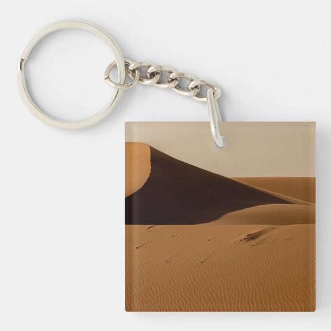 Sand Dunes Desert liggande (Framsidan)