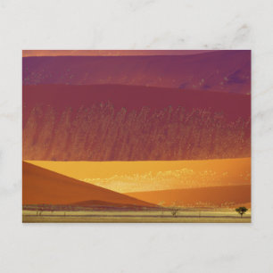 Sand Dunes Namib-Naukluft nationalpark Namibia Vykort