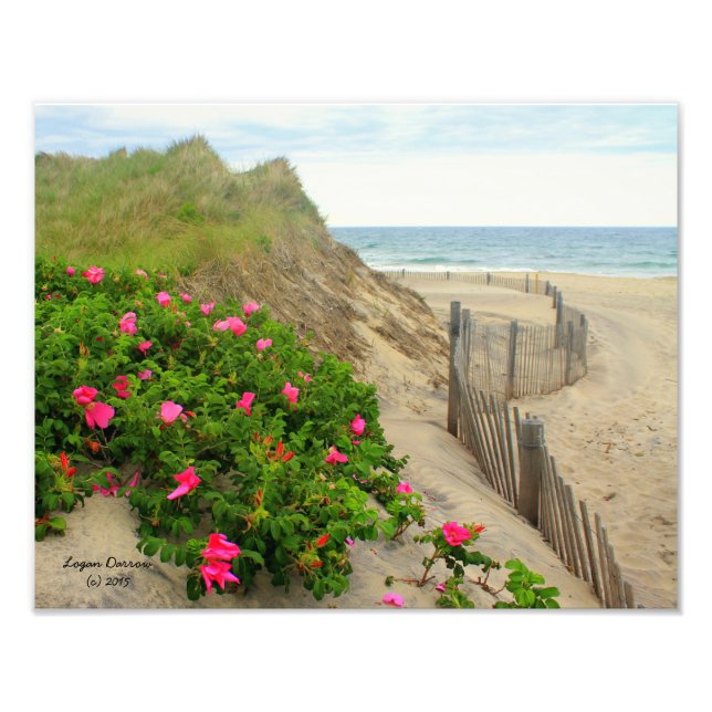 Sand Dunes och Beach Ro ~ Block Island, RI Fototryck (Framsidan)