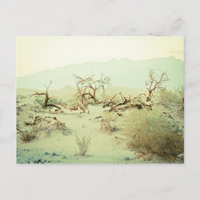 Sand Dunes of Death Valley Vykort (Framsida)