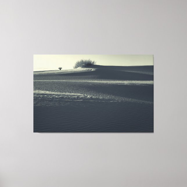 Sand Dunes with Yucca Canvastryck (Framsida)