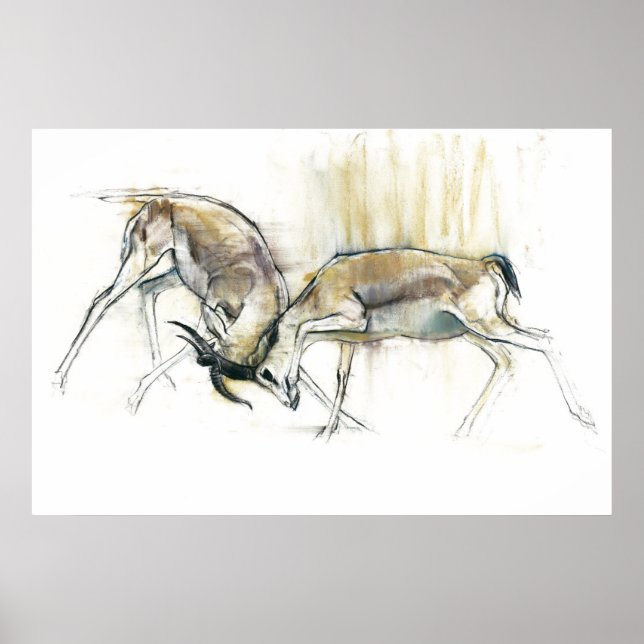 Sand Gazelles 2009 Poster (Framsidan)