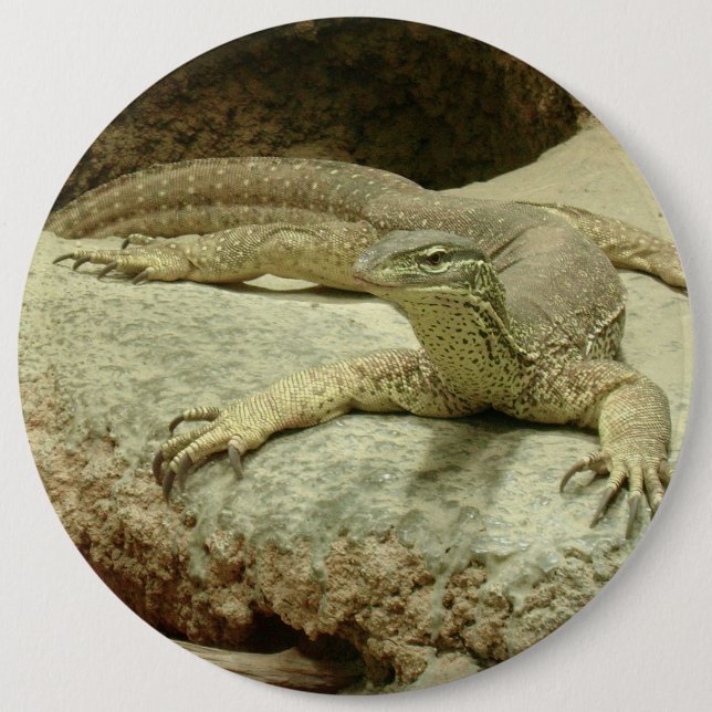 Sand goanna knapp (Framsida)