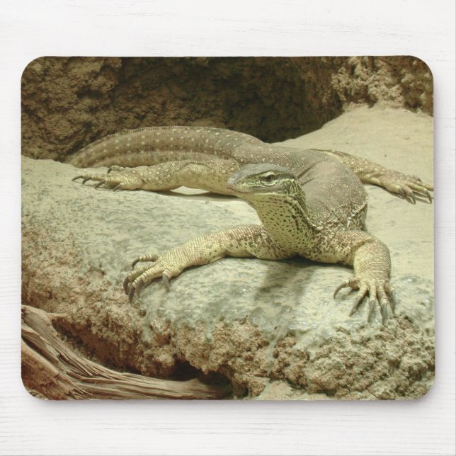 Sand goanna musmatta (Framsidan)