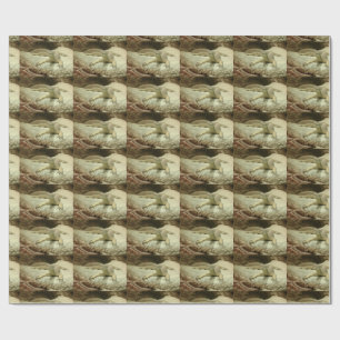 Sand goanna presentpapper
