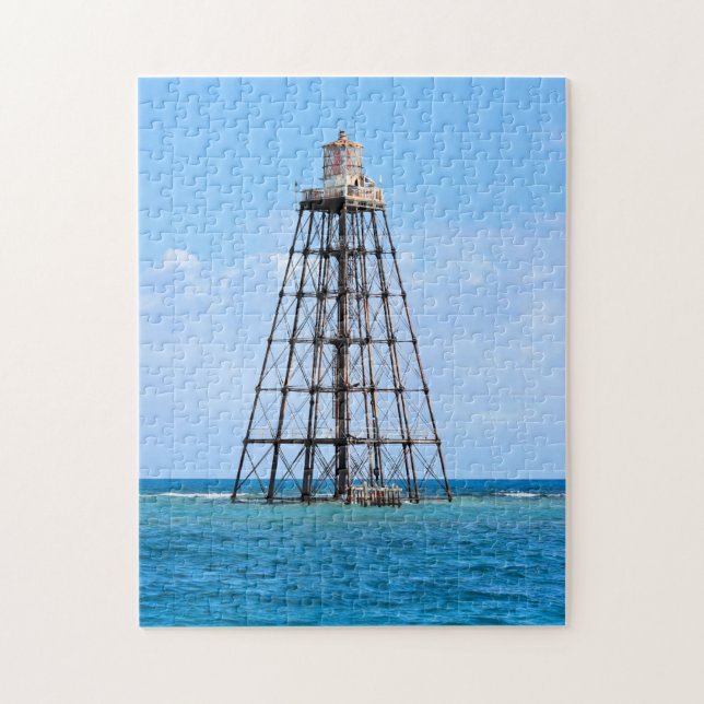 Sand Key Lighthouse, Florida Pussel (Vertikal)