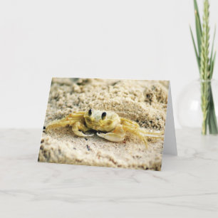Sand krabban, Curacao, karibiska öar, hälsning Kort
