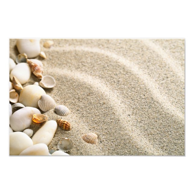 Sand med Snäckor och stenar. Persikosammansättning Fototryck (Framsidan)
