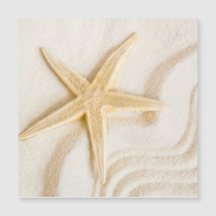 Sand och en naturlig neutralt av Starfish färg