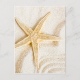Sand och en naturlig neutralt av Starfish färg Vykort