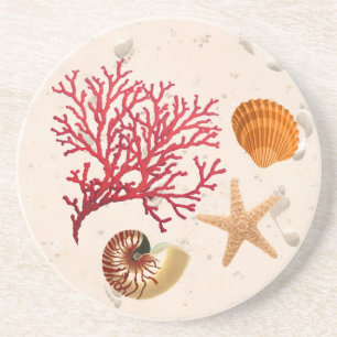 Sand- och seashells runt sandsten underlägg