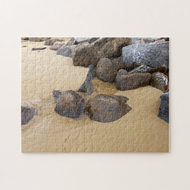 Sand och stenar pussel (Horisontell)