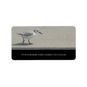 Sand Piper-Adressetiketter Adressetikett