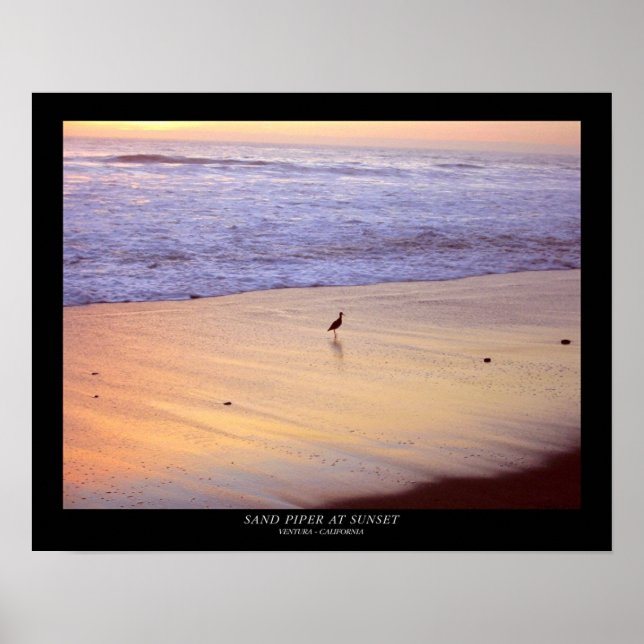 Sand Piper at Sunset : Ventura - Kalifornien Poster (Framsidan)