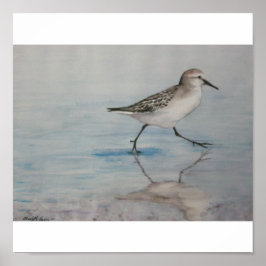 Sand Piper Bird Art-utskrift Poster