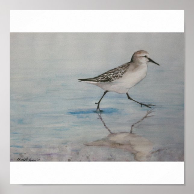 Sand Piper Bird Art-utskrift Poster (Framsidan)