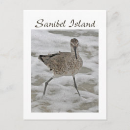 Sand Piper Sanibel Island vykort
