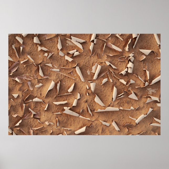 Sand Poster (Framsidan)