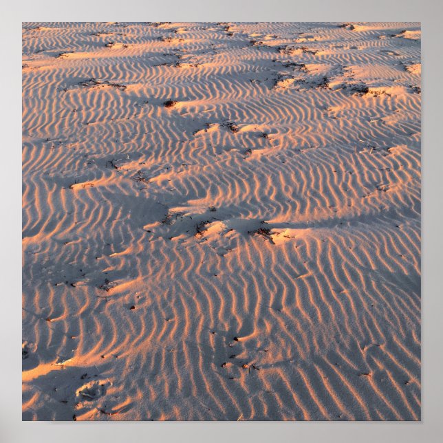 Sand ripples poster (Framsidan)