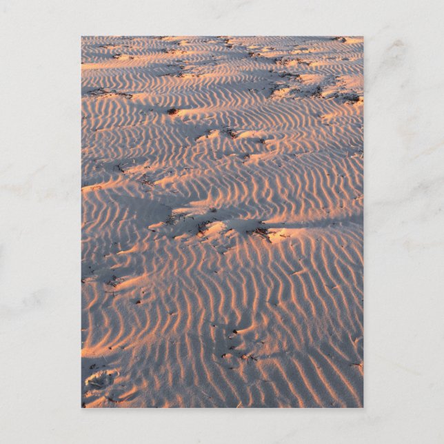 Sand ripples vykort (Framsida)