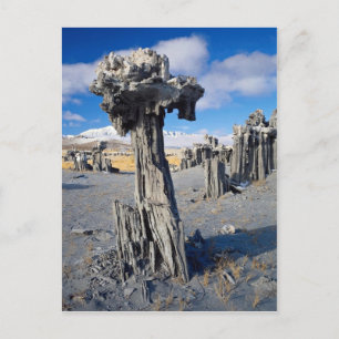 Sand tufa-formationer, Mono Sjö, Kalifornien, USA Vykort