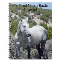 Sand Tvätta Basin Journal
