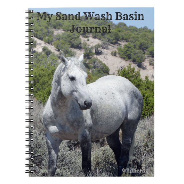 Sand Tvätta Basin Journal Anteckningsbok (Framsidan)