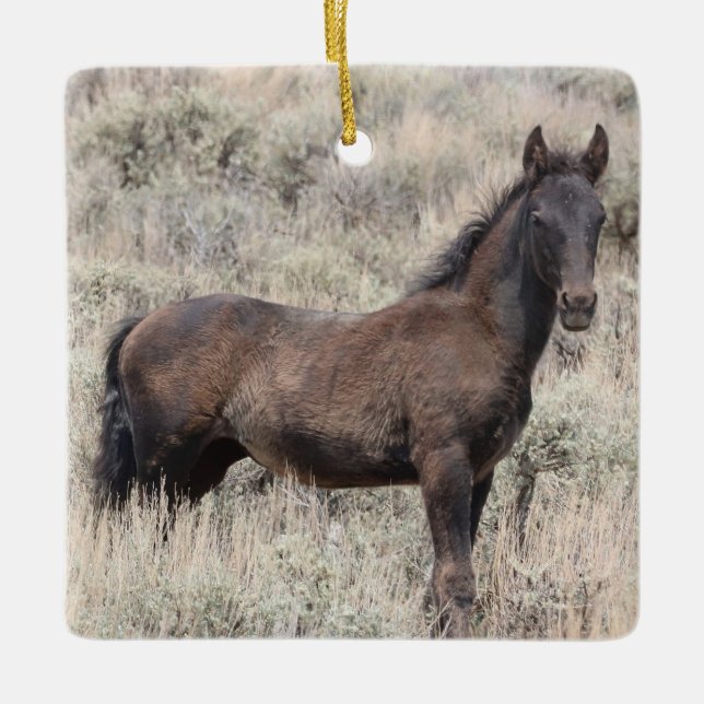 Sand Tvätta Basin Vild Horses Ceramic Ornamic Julgransprydnad Keramik (Framsida)